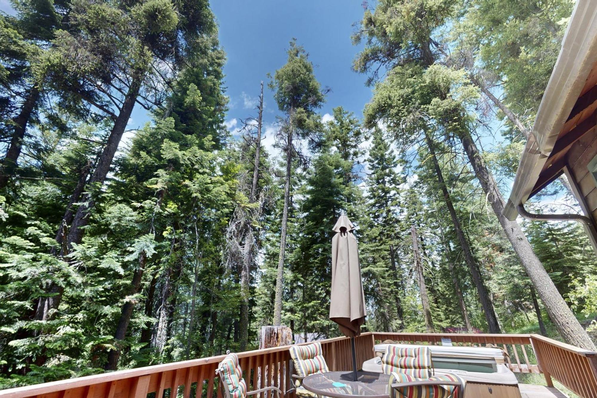 Pine Cone Cottage Joseph Luaran gambar